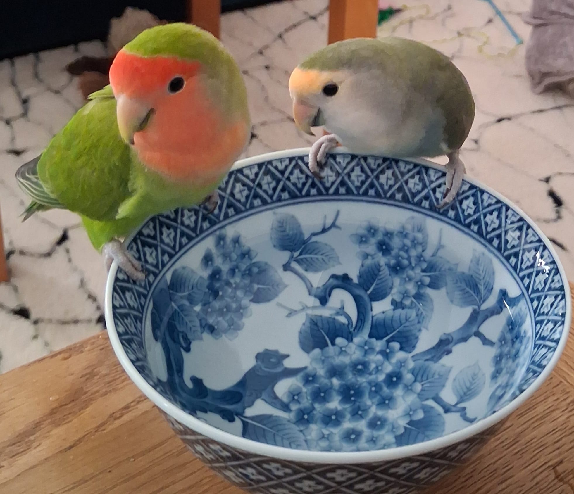 Kiwi and Lychee